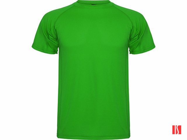 Спортивная футболка "Montecarlo" мужская, папоротниковый