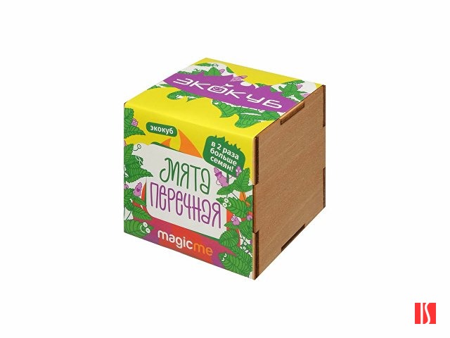 Набор для выращивания "Экокуб Magicme "Мята"