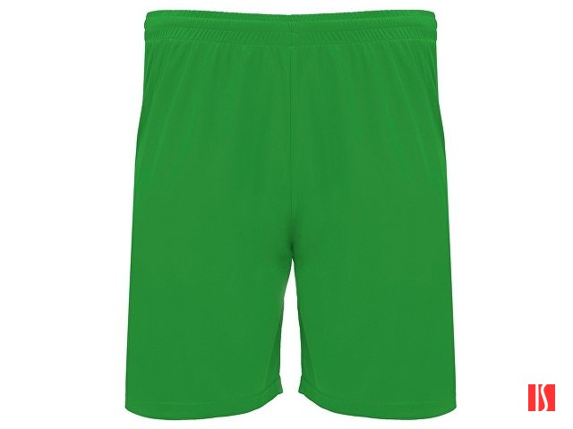 Шорты "Dortmund", папоротниковый