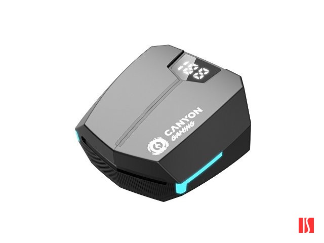 Игровая гарнитура Canyon DoubleBee GTWS-2, черный (CND-GTWS2B)