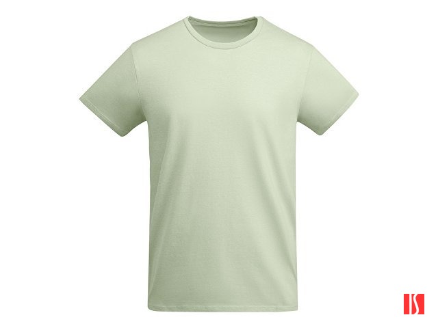 Футболка "Breda" мужская, припыленный зеленый