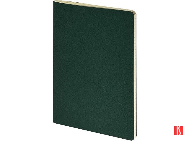 Бизнес-тетрадь А4 "Pragmatic",  40л., клетка, зеленый