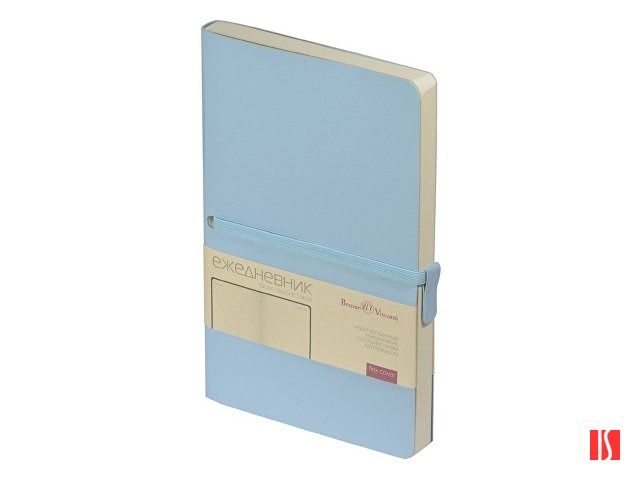 Ежедневник недатированный А5 «Tokyo», голубой