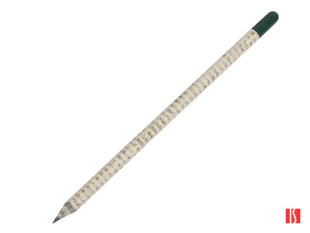 Растущий карандаш с семенами базилика