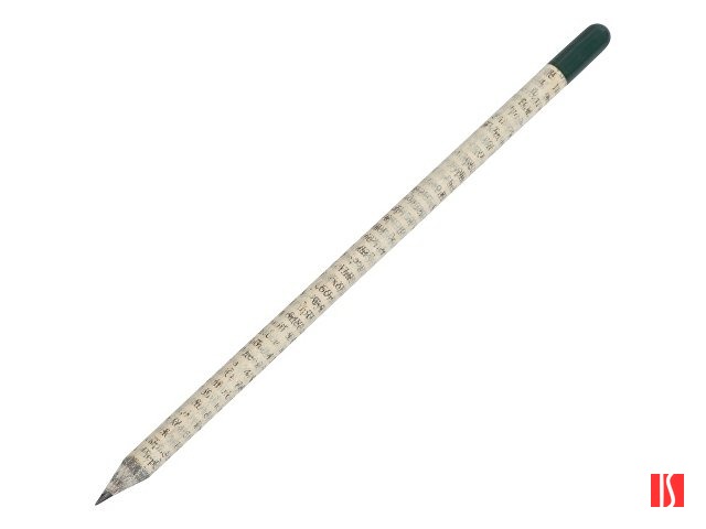 Растущий карандаш с семенами мяты