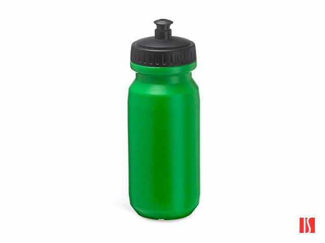 Спортивная бутылка BIKING из полиэтилена, папоротниковый