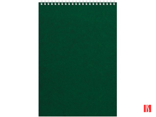 Бизнес - блокнот Альт А4 (198 х 285 мм) "Office" 60 л., зеленый