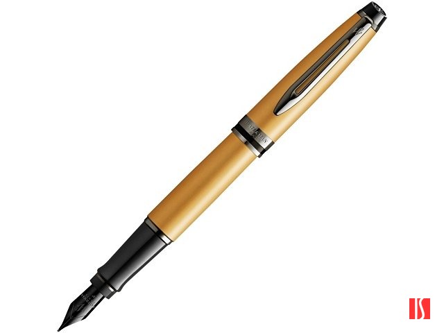 Перьевая ручка Waterman Expert GoldF BLK в подарочной упаковке