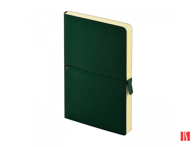 Ежедневник недатированный А5 «Tokyo», зеленый