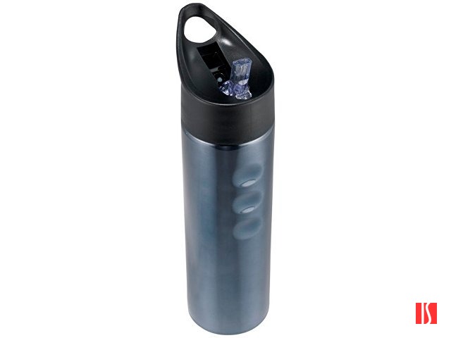 Стальная спортивная бутылка Trixie, титан