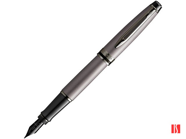Перьевая ручка Waterman Expert Silver F BLK в подарочной упаковке