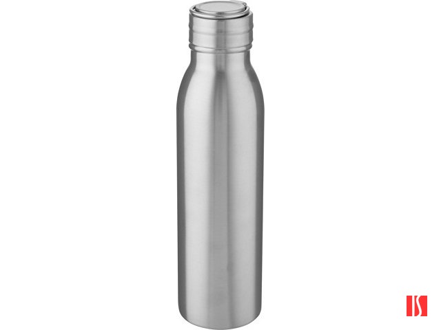 Harper, спортивная бутылка из нержавеющей стали объемом 700 мл с металлической петлей, серебристый