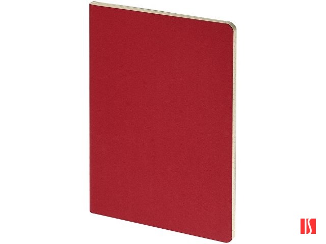 Бизнес тетрадь А5 "Pragmatic", 40 листов в клетку, красный