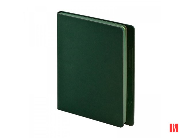 Ежедневник недатированный А5 «Megapolis Magnet», зеленый