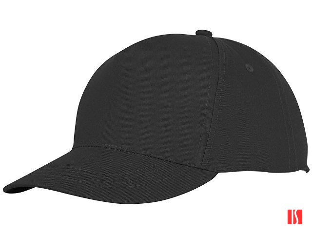 Пятипанельная кепка Hades, черный