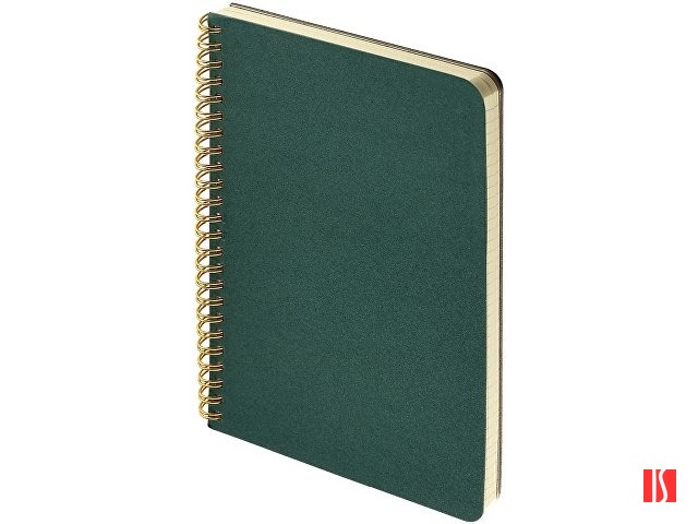 Бизнес тетрадь на гребне А5 "Pragmatic", 60 листов в клетку, зеленый