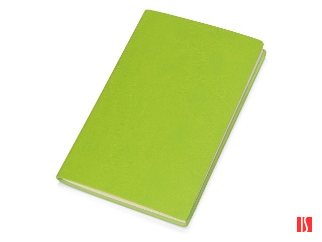 Блокнот А6 Riner, зеленое яблоко