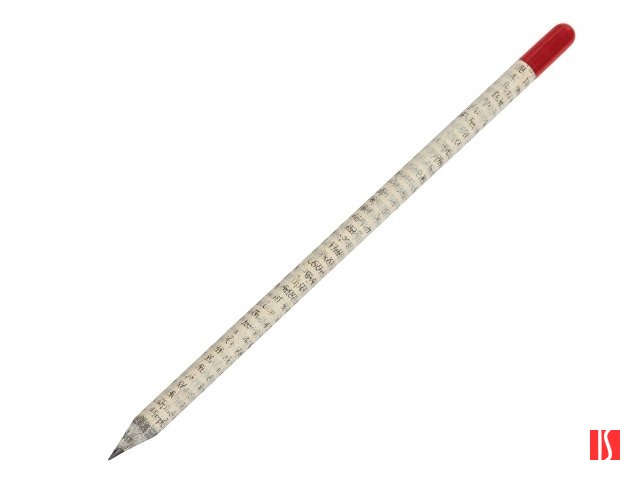 Растущий карандаш с семенами гвоздики