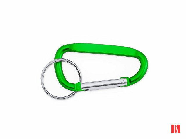 Брелок-карабин для ключей PALE, папоротник