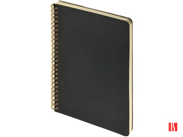 Бизнес тетрадь на гребне А5 "Pragmatic", 60 листов в клетку, черный