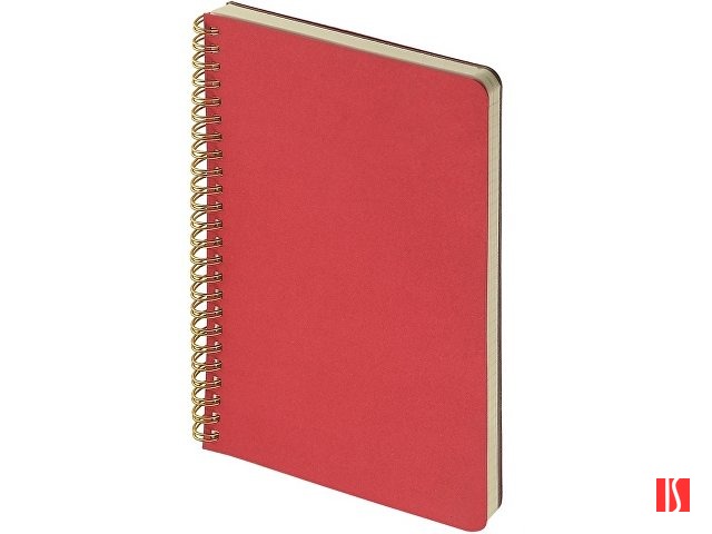 Бизнес тетрадь на гребне А5 "Pragmatic", 60 листов в клетку, красный