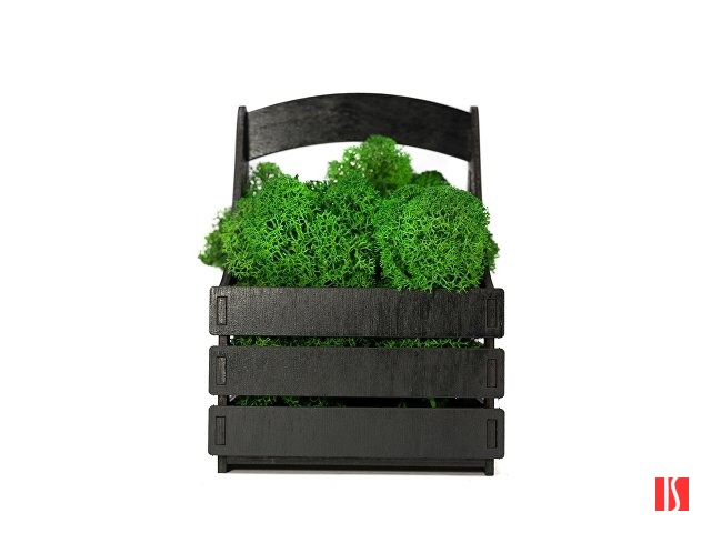 Композиция "Корзинка со мхом", черный