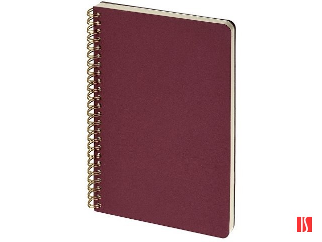 Бизнес тетрадь на гребне А5 "Pragmatic", 60 листов в клетку, бордовый