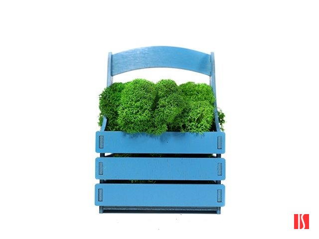 Композиция "Корзинка со мхом", синий