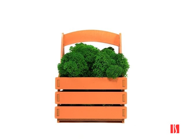 Композиция "Корзинка со мхом", оранжевый