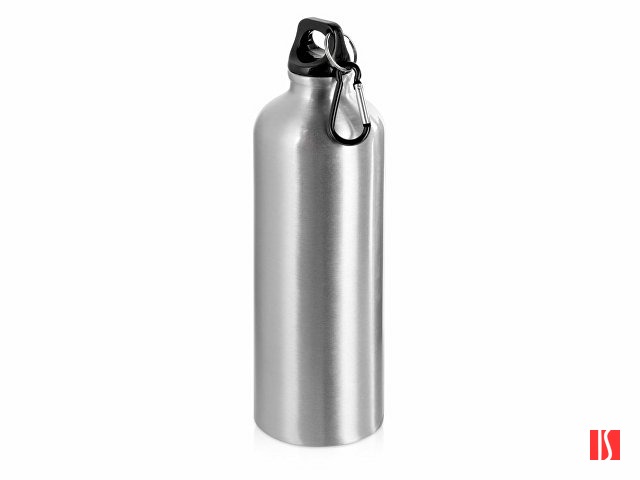 Бутылка "Hip M" с карабином, 770 мл, серебристый