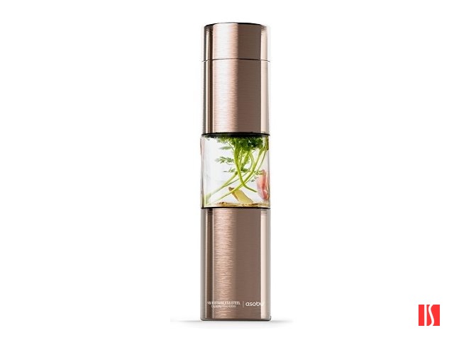 Бутылка для воды FLAVOUR U SEE, 460 мл, золотистый