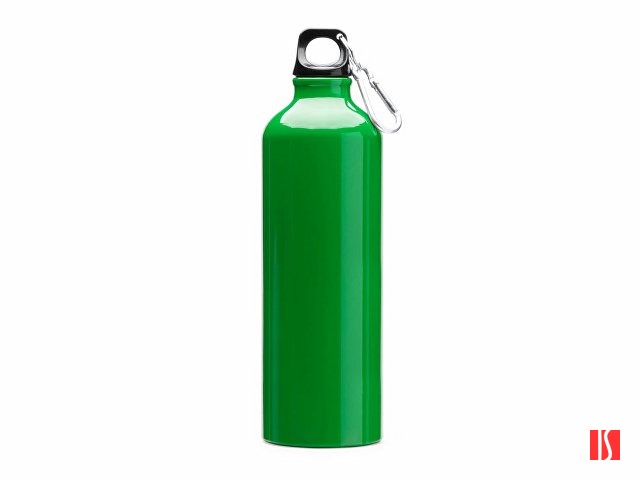 Бутылка алюминиевая с карабином, 800 мл, папоротник