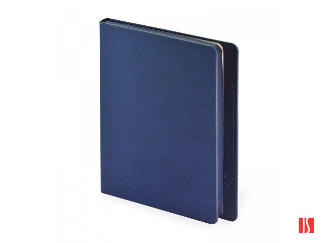 Ежедневник недатированный А5 «Megapolis Magnet», синий