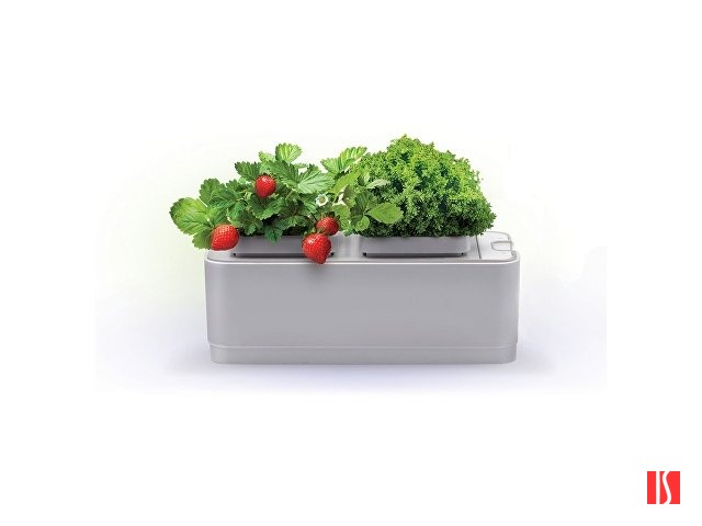 Компактный смарт-сад iGarden