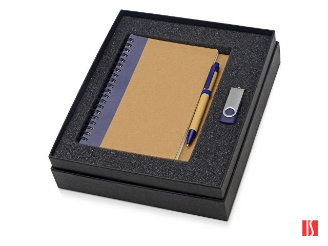 Подарочный набор Essentials с флешкой и блокнотом А5 с ручкой, синий