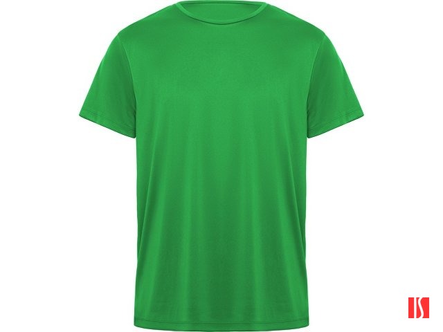 Футболка "Daytona" мужская, папоротниковый