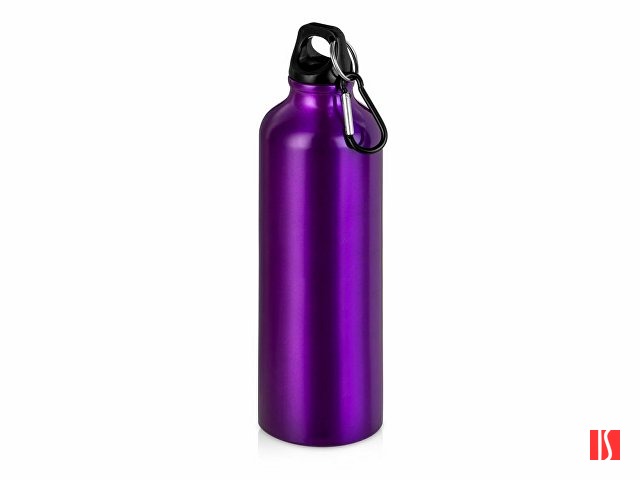 Бутылка "Hip M" с карабином, 770 мл, пурпурный (Р)
