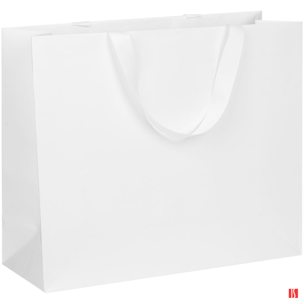 Пакет бумажный Manilla L, белый