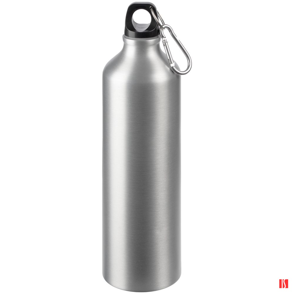 Бутылка для воды Funrun 750, серебристая