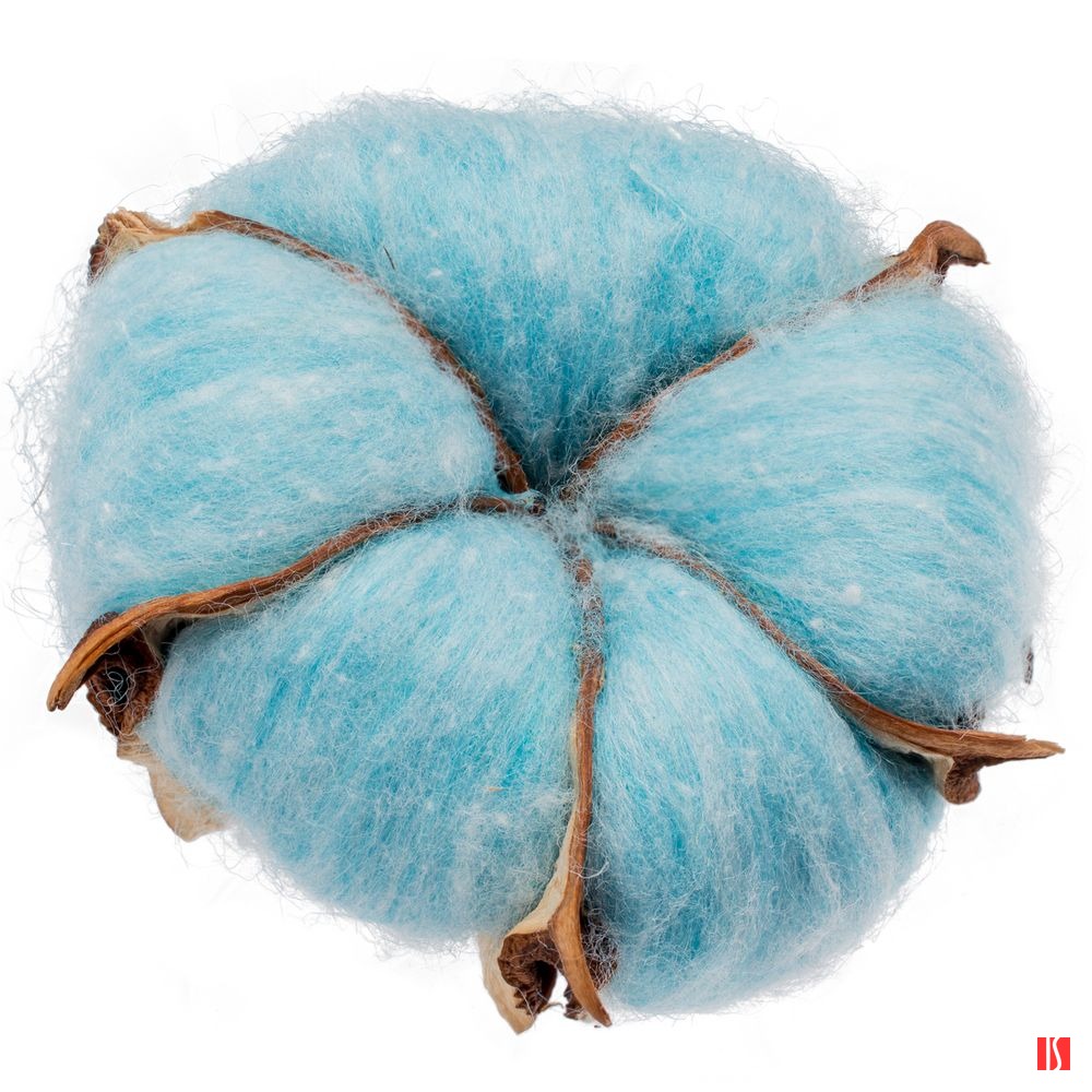 Цветок хлопка Cotton, голубой
