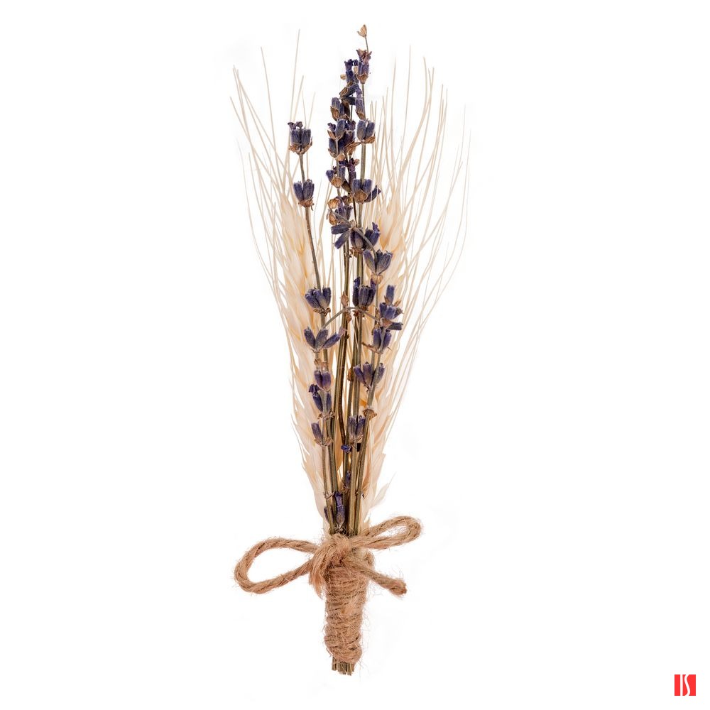 Букет сухоцветов Adorno, бежевый