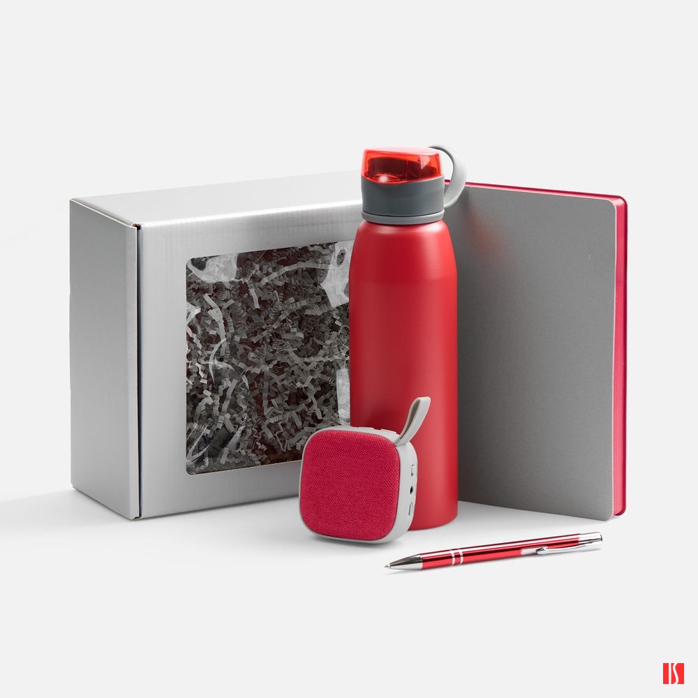 Купить Набор Flexpen Flow, серый с красным Набор Flexpen Flow, серый с красным