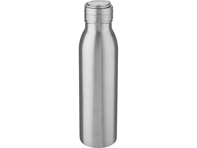 Бутылка для воды Harper из нержавеющей стали, с металлической петлей, 700 мл - Серебристый