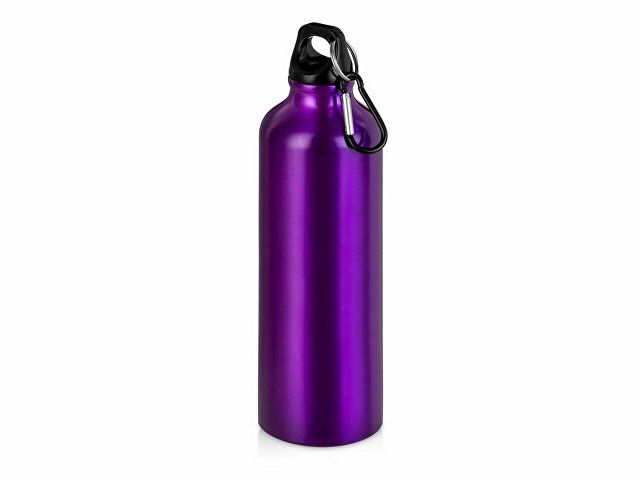 Бутылка "Hip M" с карабином, 770 мл, пурпурный (Р)